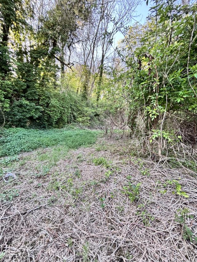 Terrain  pièces Le mee sur seine disponible à la Vente