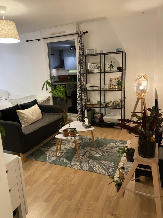 Appartement 1 pièces Dammarie les lys disponible à la Location