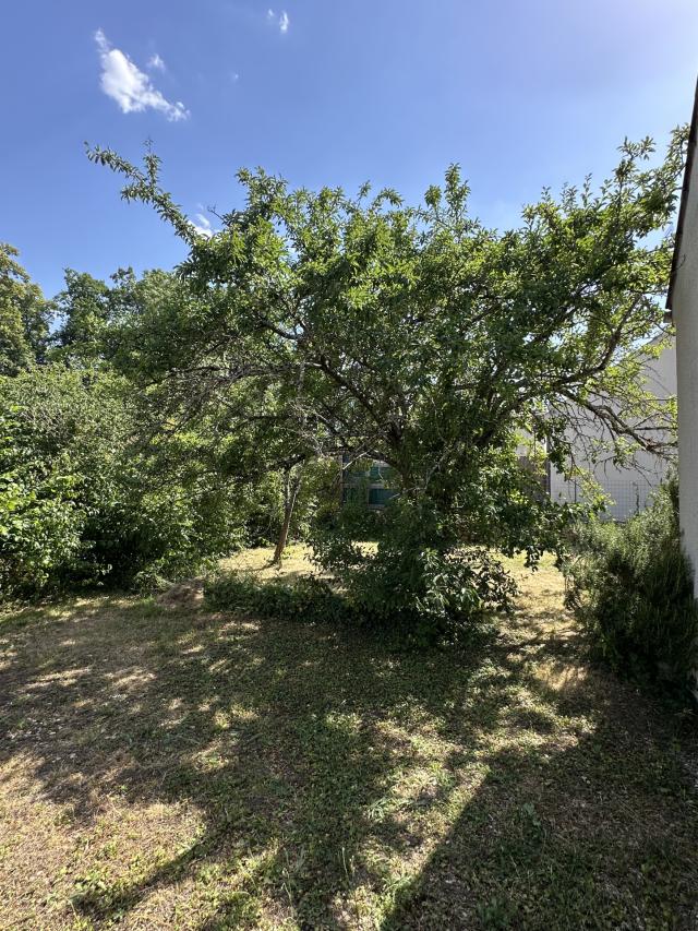 Maison 4 pièces Vaux le penil disponible à la Vente