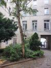 Appartement 3 pièces Melun disponible à la Location